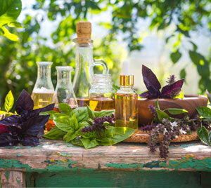 What are the HOT Ingredients for 2020?