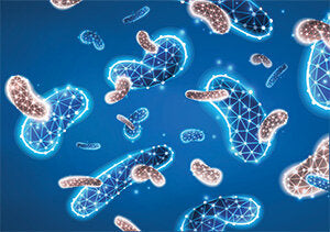 Probiotic, Prebiotic and Postbiotic Beauty