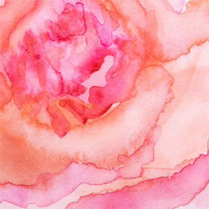 Luxury Rose Everything!