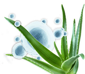 Aloe Vera Gel