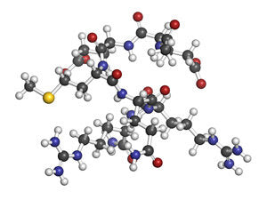 Argireline