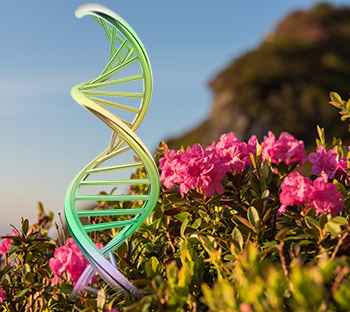 Rose Stem Cell Super Daily Cleanser