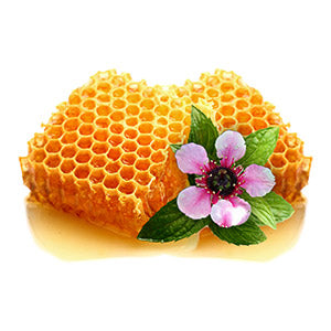 7 Health Benefits of Manuka Honey, Based on Science