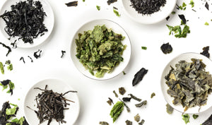 Seaweed in skincare, does it really work?