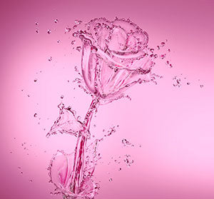 Rose Water or Rose Hydrosol, what’s the difference?